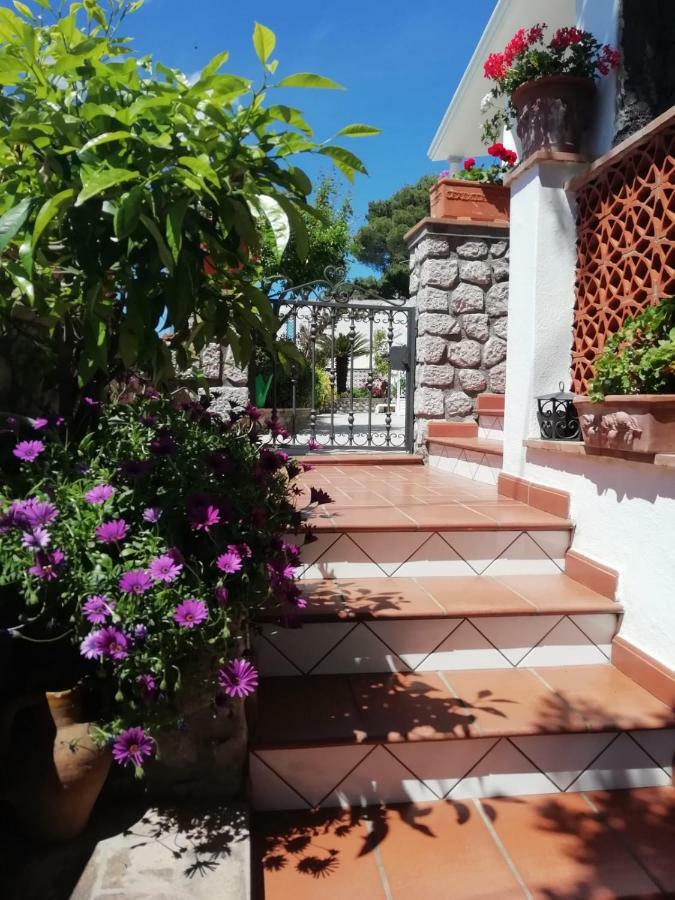 Capri Sea View Villa Εξωτερικό φωτογραφία